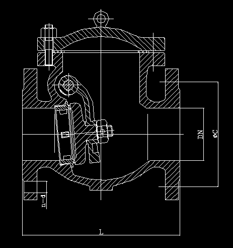 図写真4